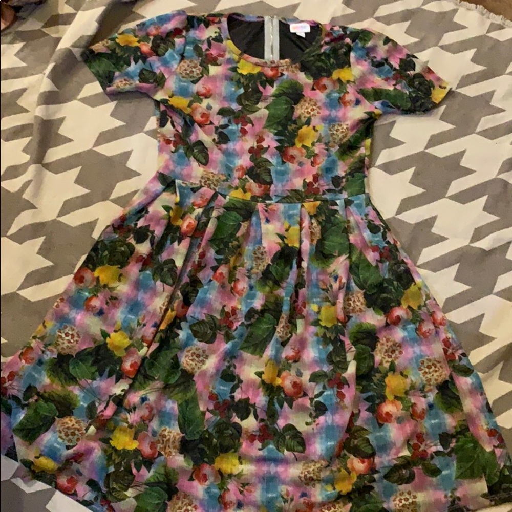 LLR Amelia